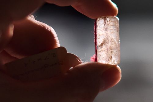 Die Sammlung Oppenländer